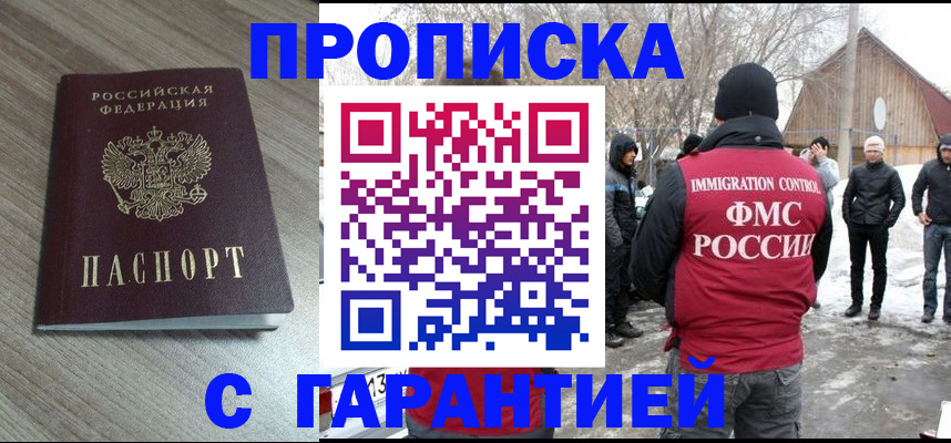 прописка 2025 в Щёлково